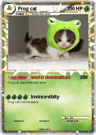 Pokemon Frog cat