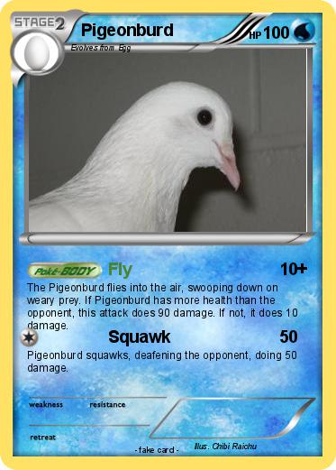 Pokemon Pigeonburd