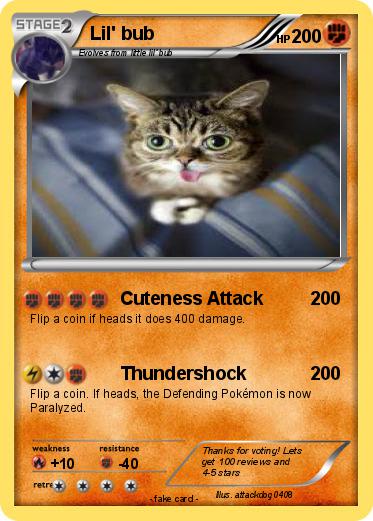 Pokemon Lil' bub