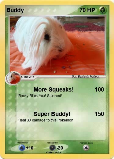 Pokemon Buddy