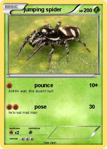 Pokemon jumping spider