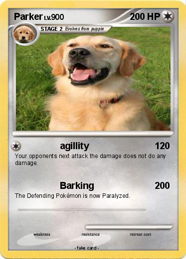 Pokemon Parker