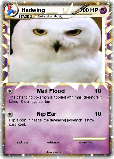 Pokemon Hedwing