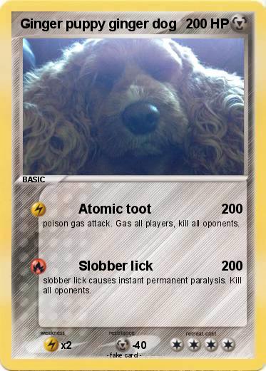 Pokemon Ginger puppy ginger dog