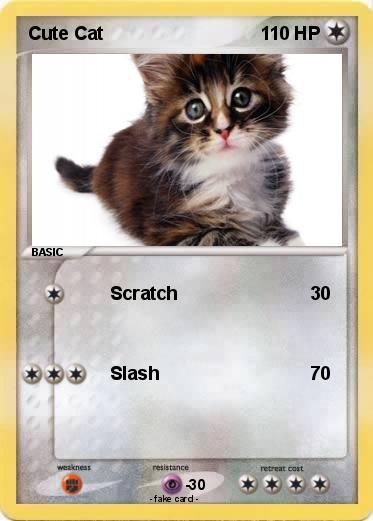 Pokemon Cute Cat