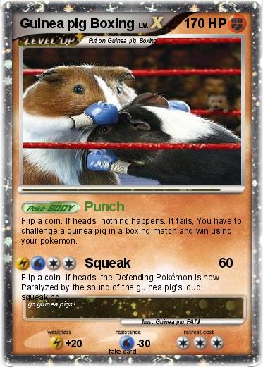 Pokemon Guinea pig Boxing