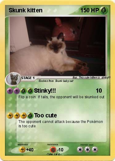 Pokemon Skunk kitten
