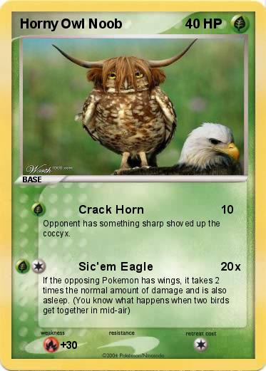 Pokemon Horny Owl Noob