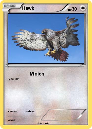 Pokemon Hawk