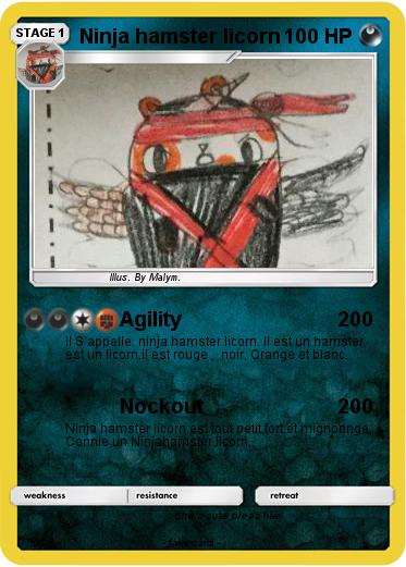 Pokemon Ninja hamster licorn