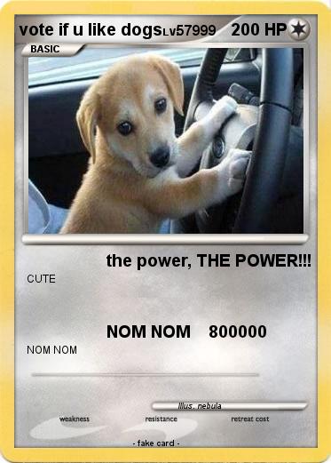 Pokemon vote if u like dogs