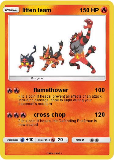 Pokemon litten team