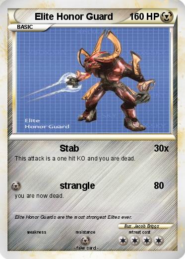 Pokemon Elite Honor Guard