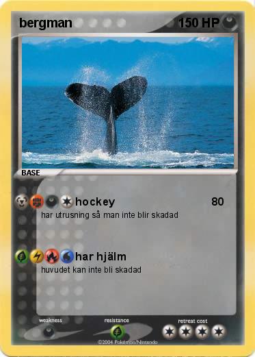 Pokemon bergman