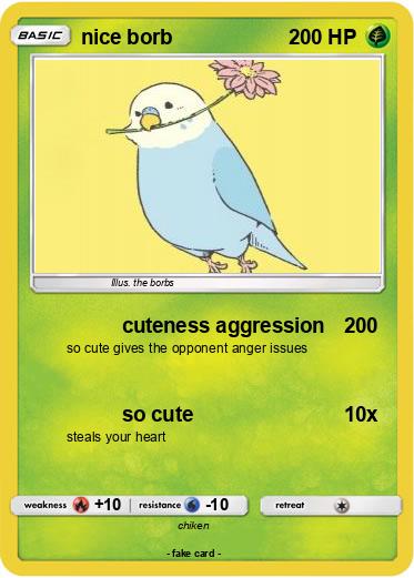 Pokemon nice borb