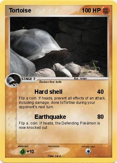 Pokemon Tortoise