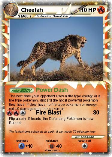 Pokemon Cheetah