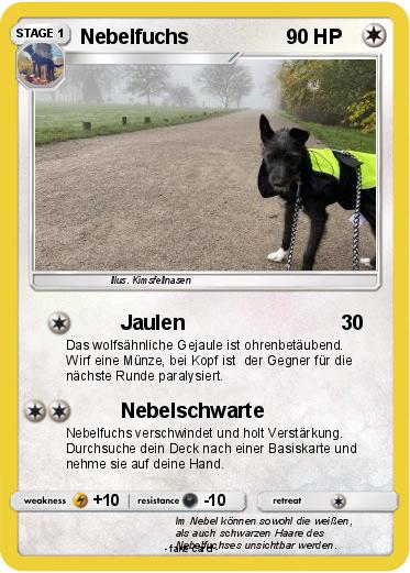 Pokemon Nebelfuchs