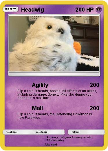 Pokemon Headwig