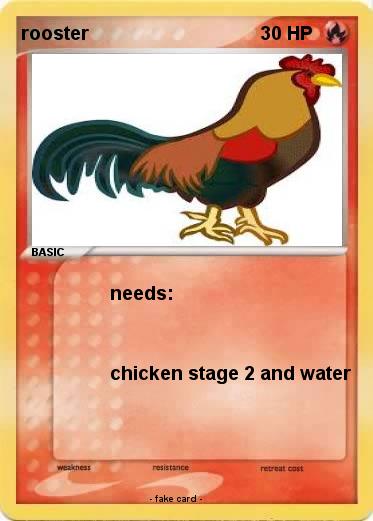 Pokemon rooster