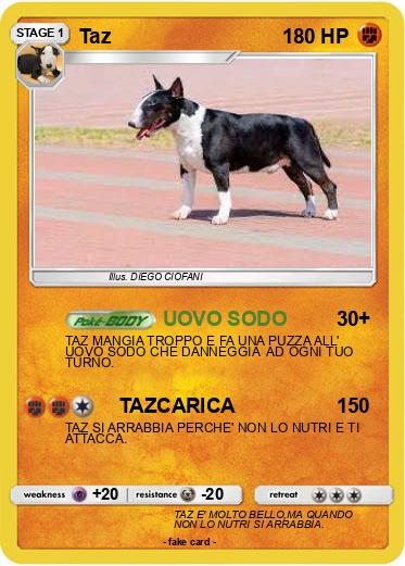 Pokemon Taz