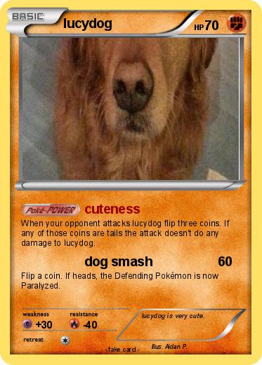 Pokemon lucydog