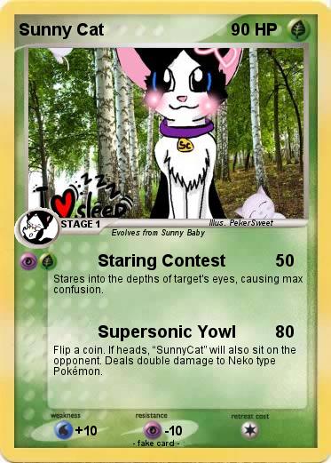 Pokemon Sunny Cat