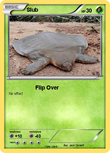 Pokemon Slub