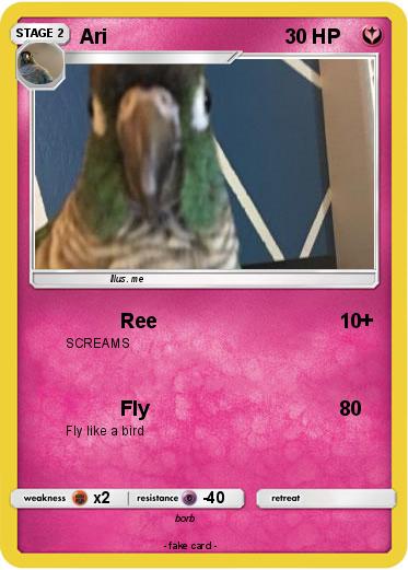 Pokemon Ari