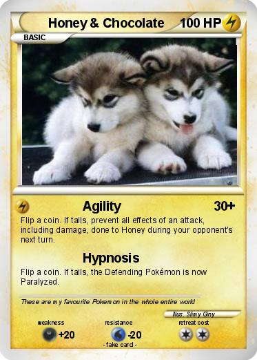 Pokemon Honey & Chocolate