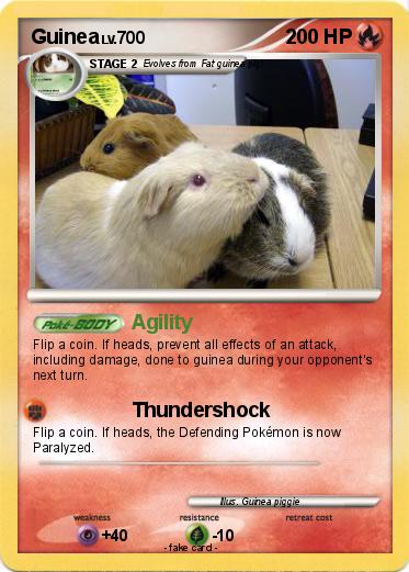 Pokemon Guinea