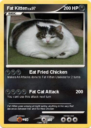 Pokemon Fat Kitten