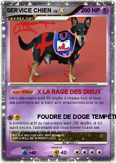 Pokemon SERVICE CHIEN