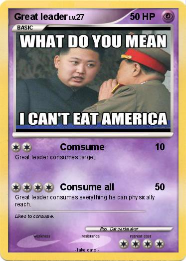 Pokemon Great leader
