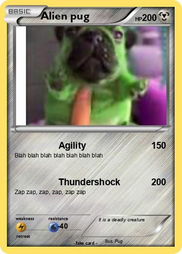 Pokemon Alien pug