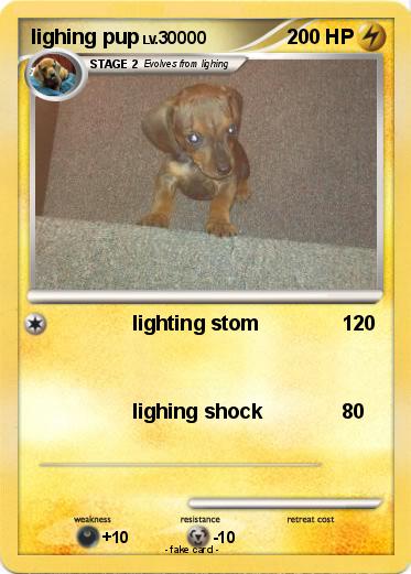 Pokemon lighing pup