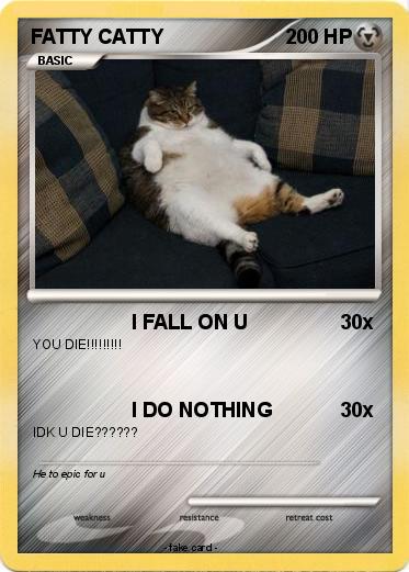 Pokemon FATTY CATTY