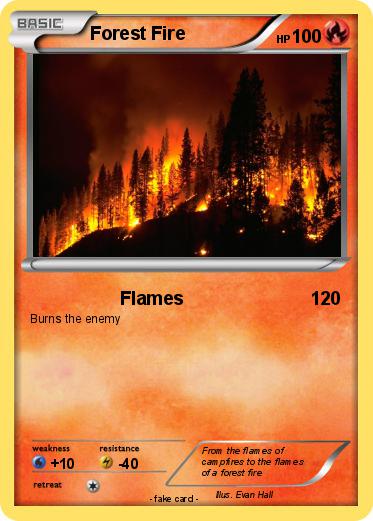 Pokemon Forest Fire
