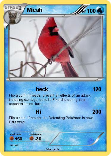 Pokemon Micah