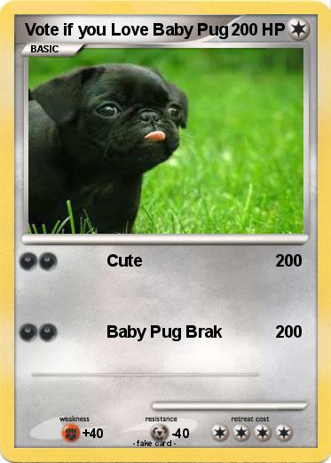Pokemon Vote if you Love Baby Pug