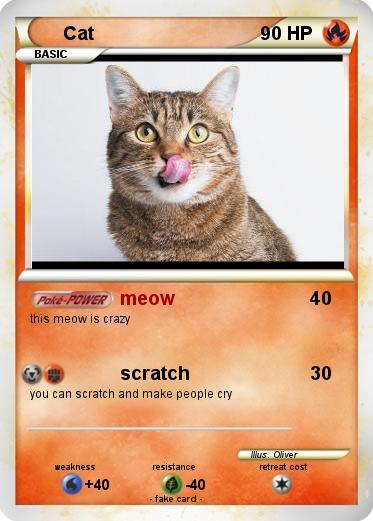 Pokemon Cat