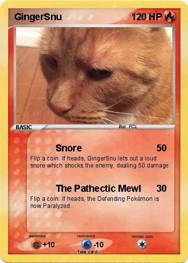 Pokemon GingerSnu