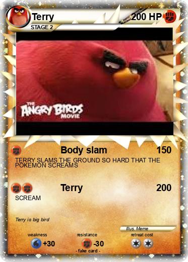 Pokemon Terry
