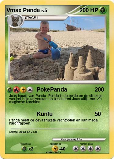 Pokemon Vmax Panda