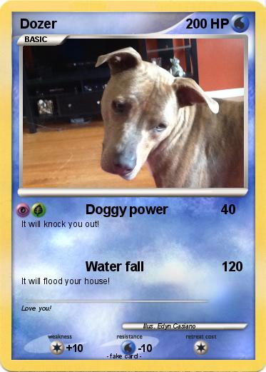 Pokemon Dozer