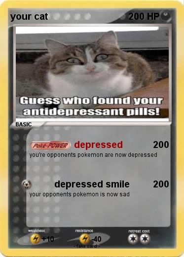 Pokemon your cat