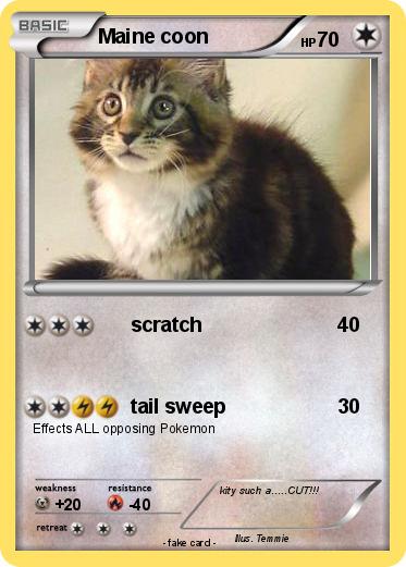 Pokemon Maine coon