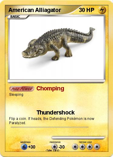 Pokemon American Alliagator