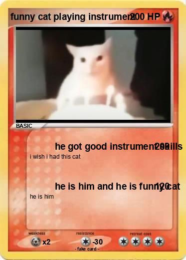 Pokemon funny cat playing instrument