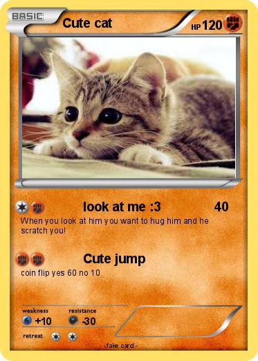 Pokemon Cute cat